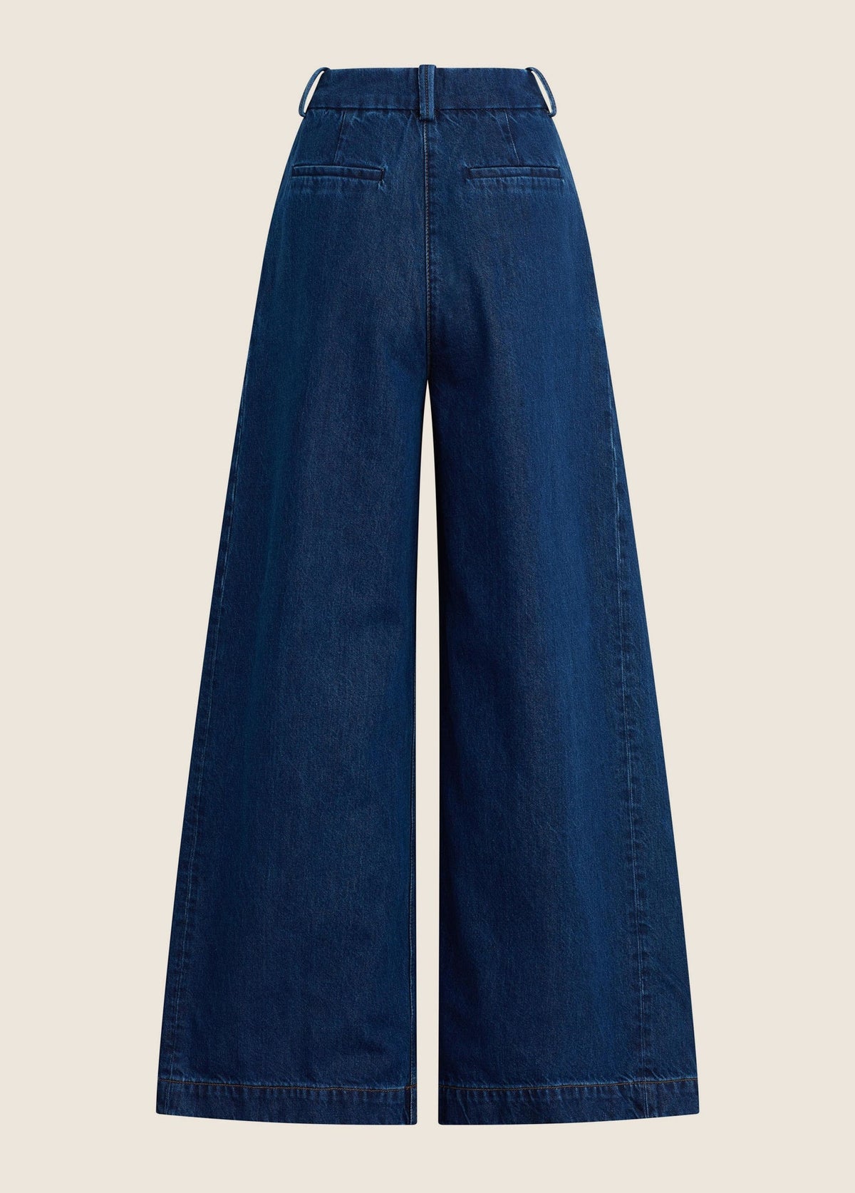 THE PETITE DENIM PLEATS FOR DAYS PANT