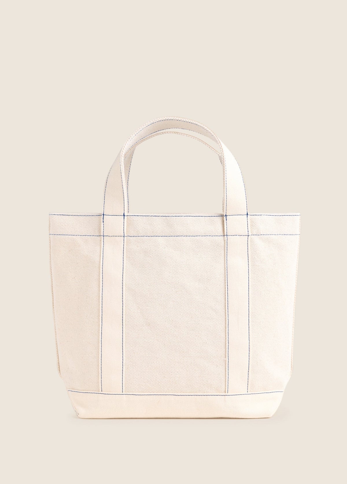 THE CANVAS MINNIE TOTE