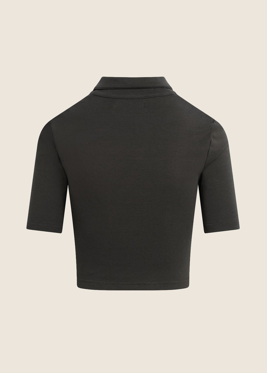 THE READING POLO