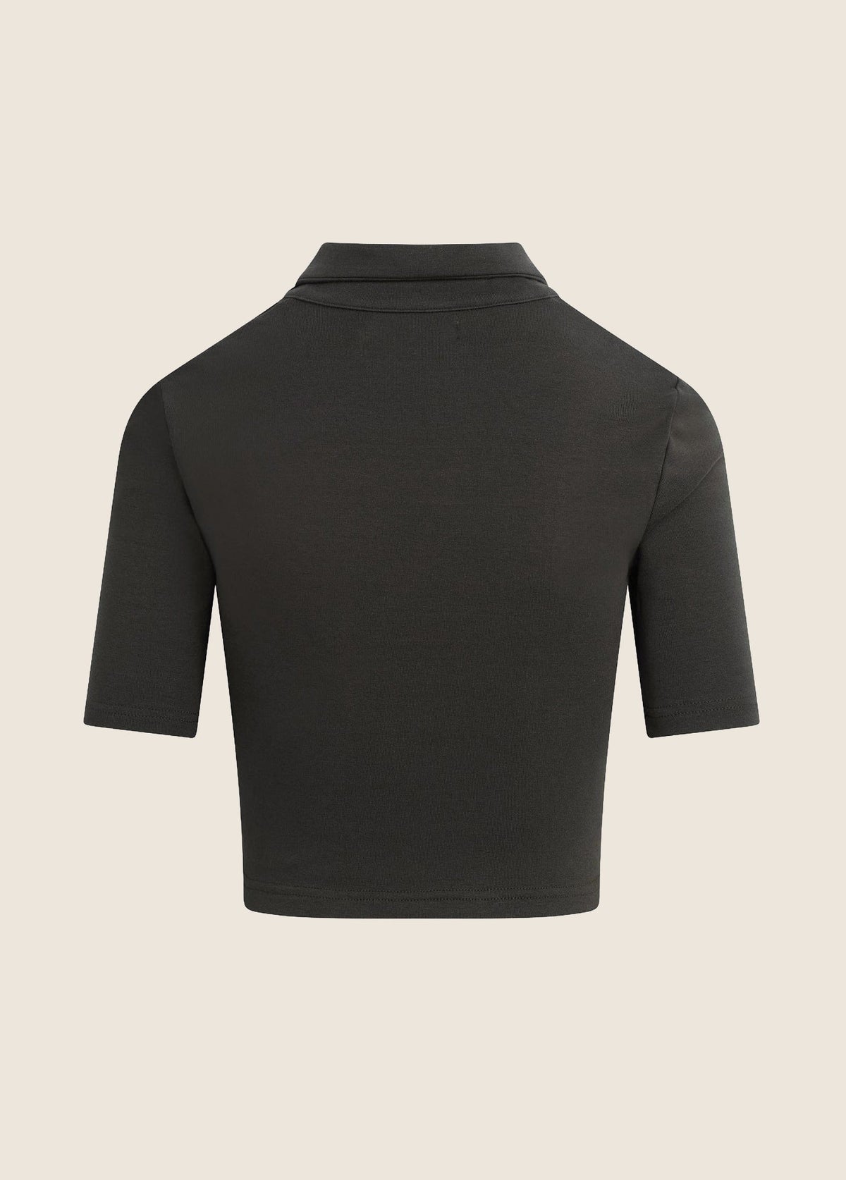 THE READING POLO
