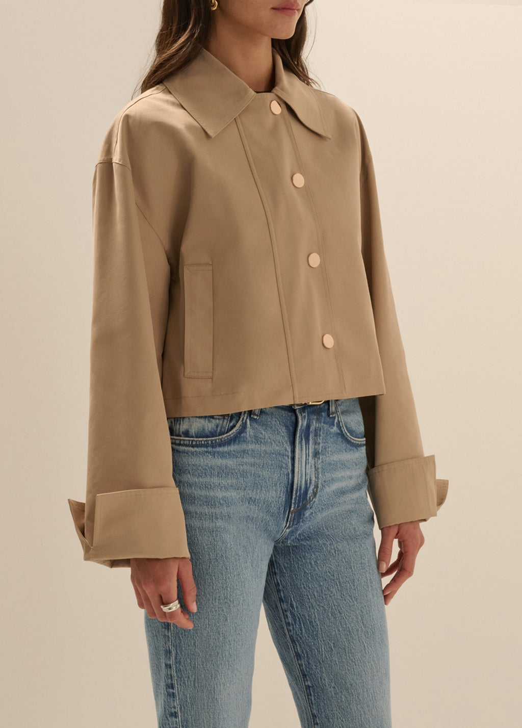 THE RUE CROPPED TRENCH