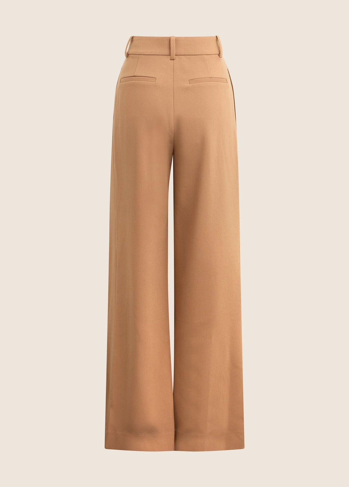 THE PLEATS FOR DAYS PANT