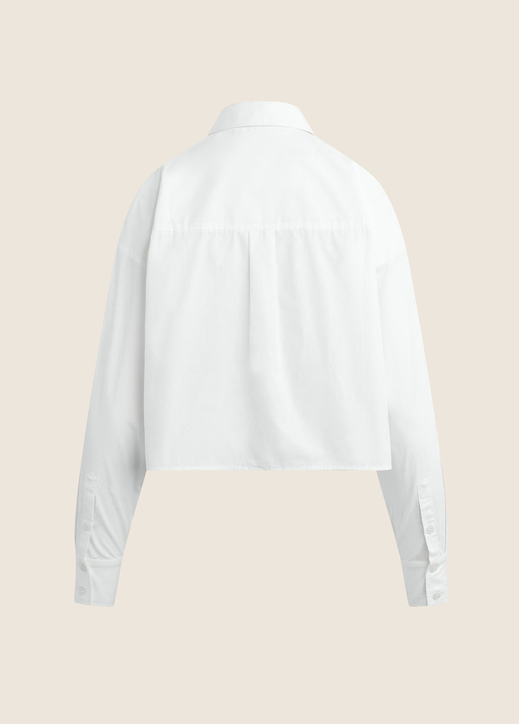 THE NEXT CHAPTER CROPPED SHIRT