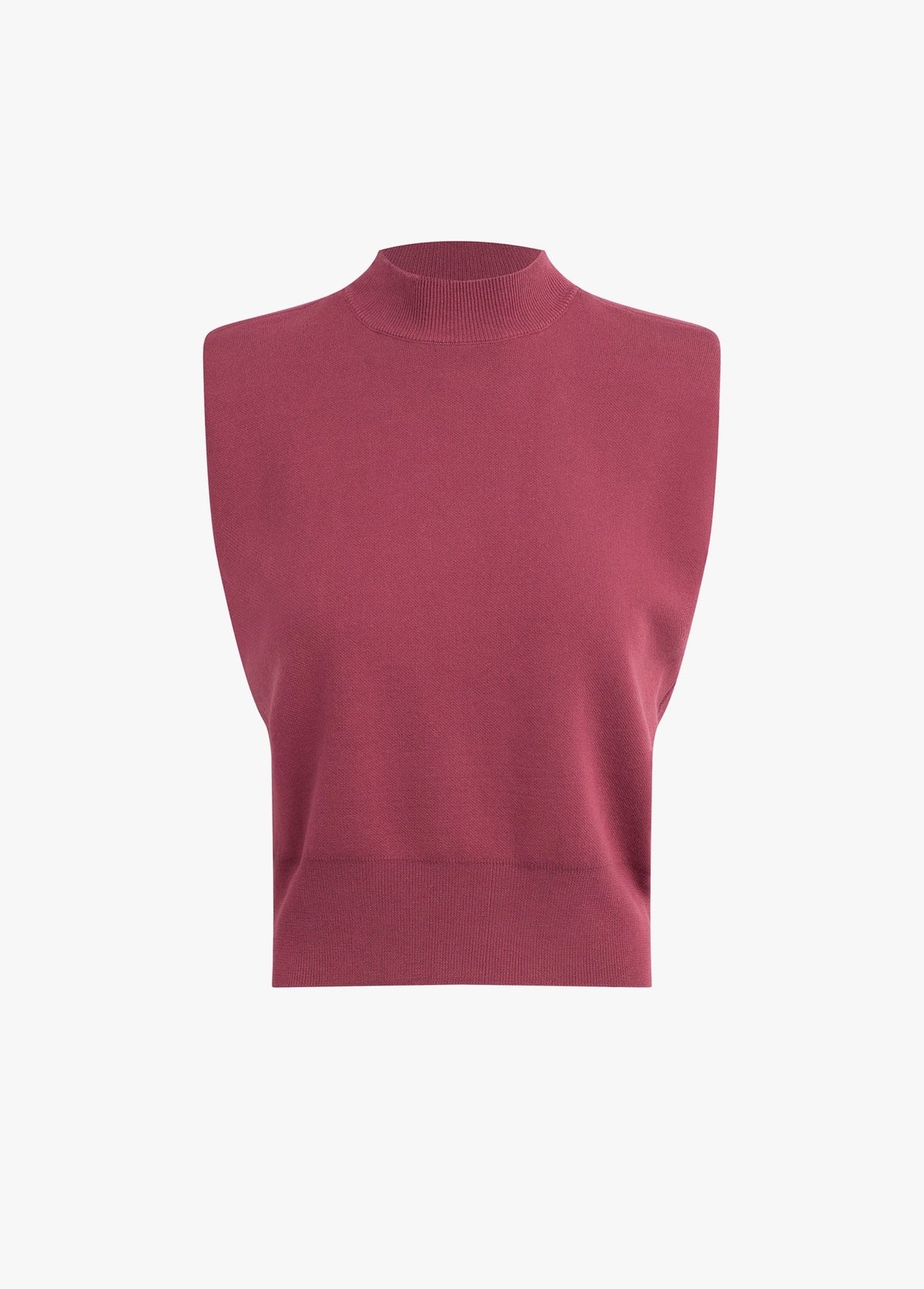 THE WHITNEY TOP